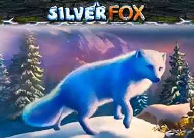 Silver Fox